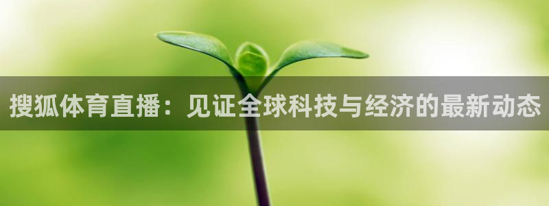 体育新闻