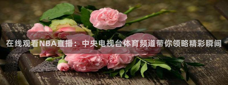雨燕360体育足球直播