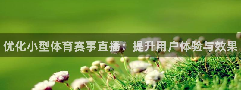 雨燕360体育免费直播nbanba