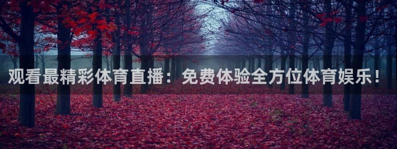 雨燕360体育在线直播手机版